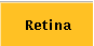 Retina